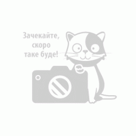 Велосипед Спортивний Corso 24" дюймів «Project» PJ-24505